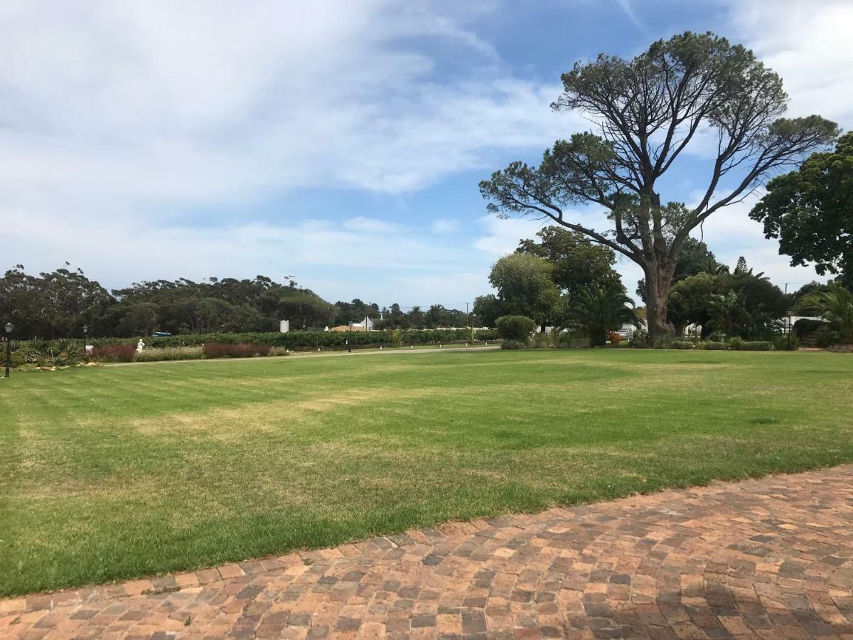 Hoogeind Manor Panzió Somerset West Kültér fotó